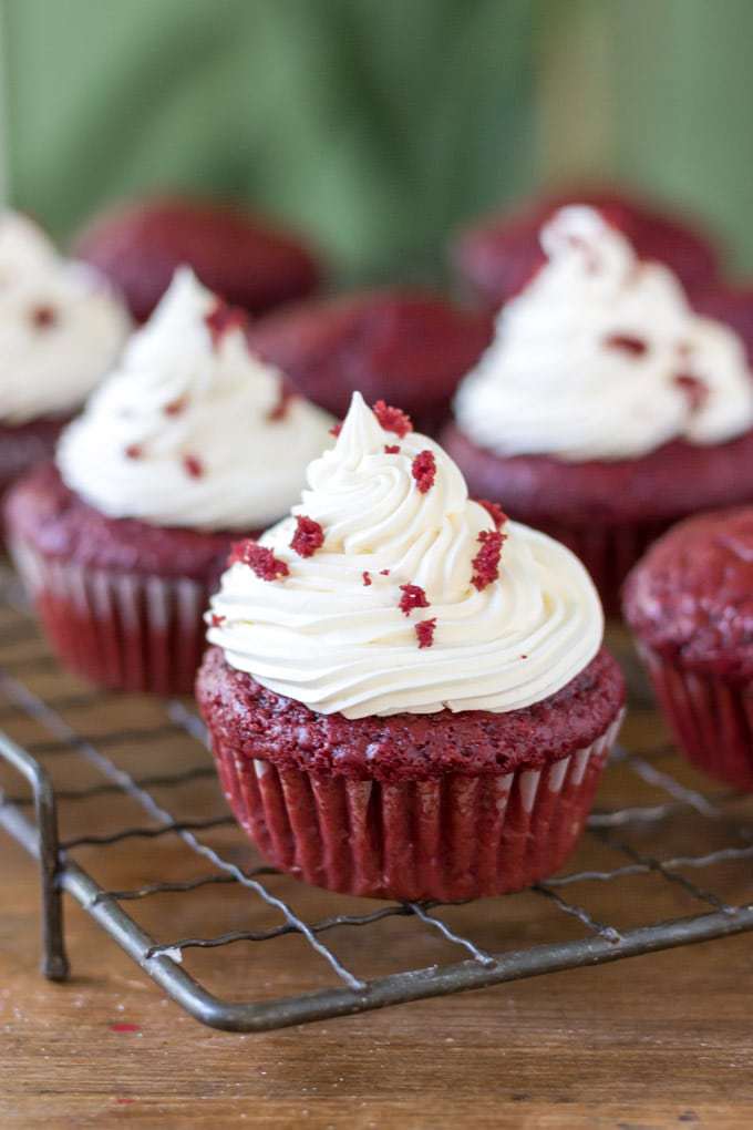 A row of vegan red velvet cupcakes with vegan cream cheese frosting on a drying rack. Get the easy one bowl recipe.