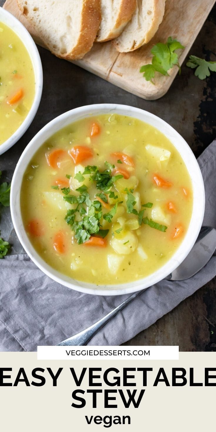 Pinnable image for vegetable vegan stew recipe - bowl of stew with text overlay.