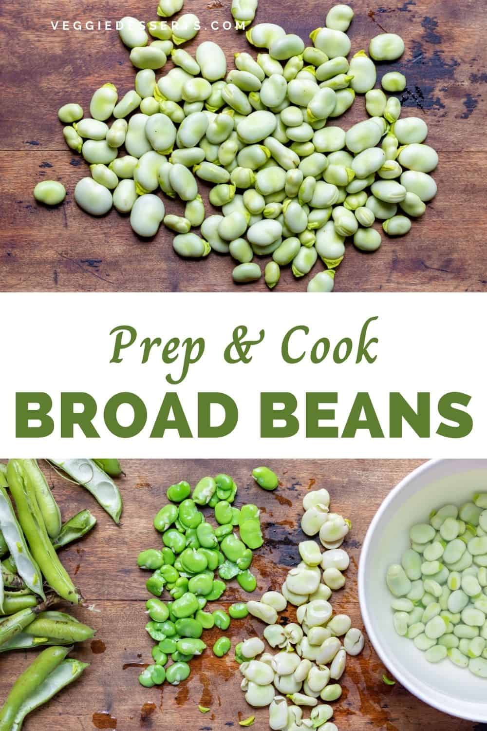 Piles of broad beans, with text: Prep and Cook Broad Beans.