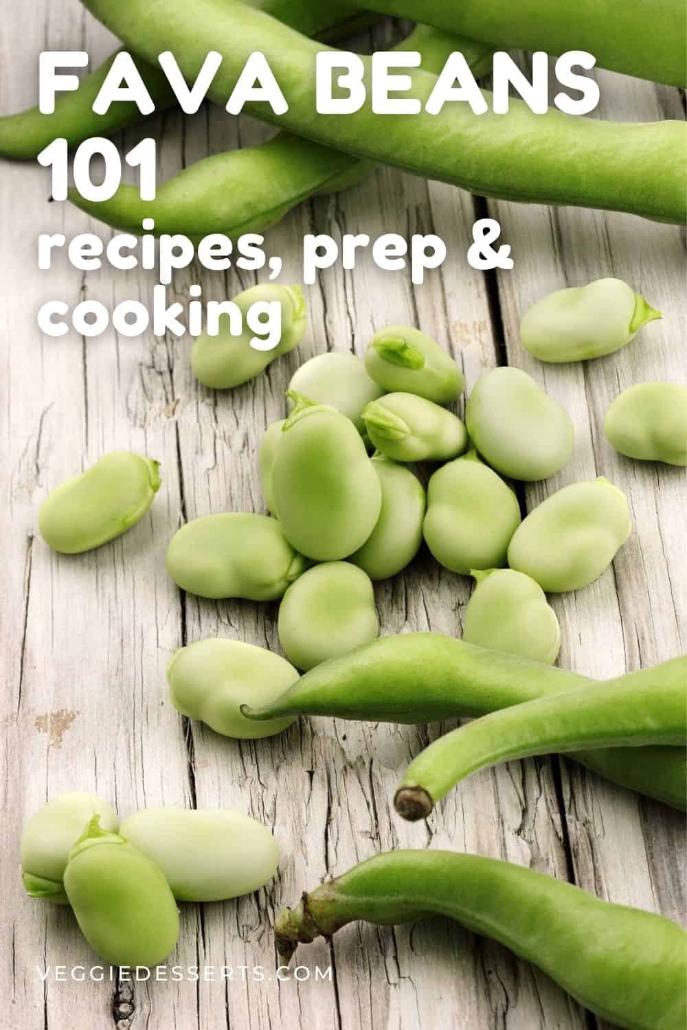 Table with fava beans and text: Fava Beans 101 - recipes, prep and cooking.