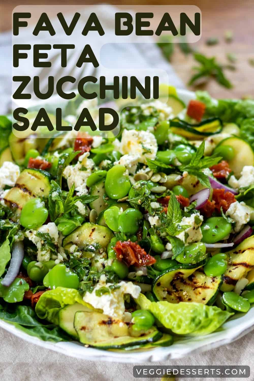 Dish of salad, with text: Fava Bean, Feta, Zucchini, Salad.