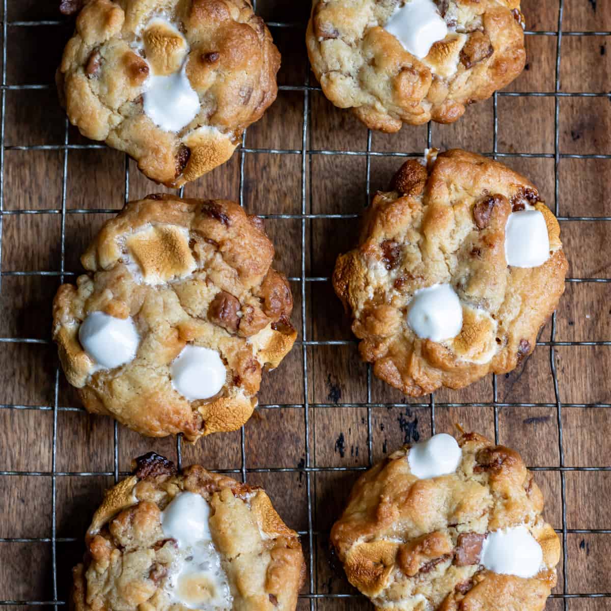 Rows of marshmallow chocolate chip cookies on a wire rack.